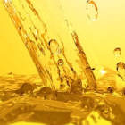 Ecolube Hydraulic Oil - Image 1
